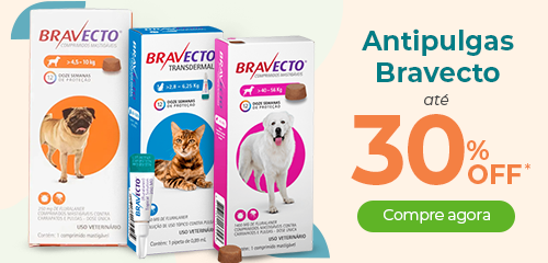 Antipulgas Bravecto 