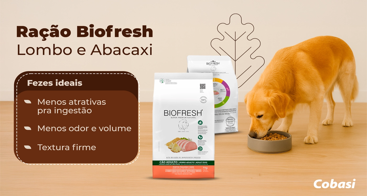 Biofresh Lombo e Abacaxi